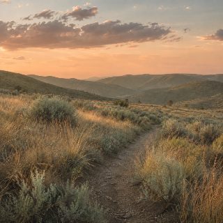 Sagebrush trail winding through hills at sunset